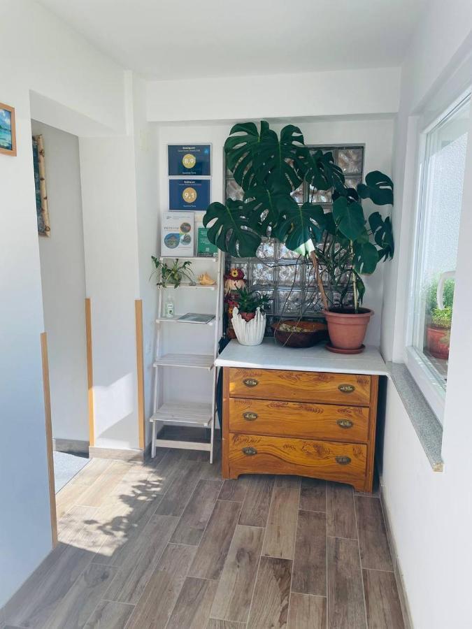 Apartma Pavla Spodnje Gorje Eksteriør billede